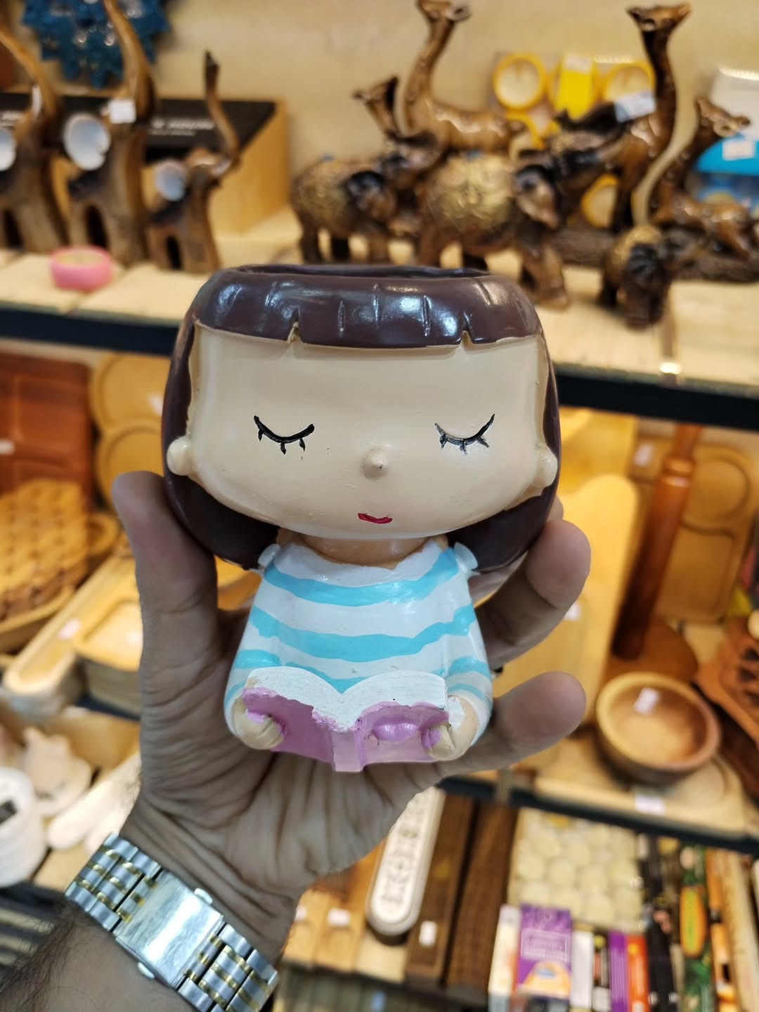 گلدان کاکاتوس