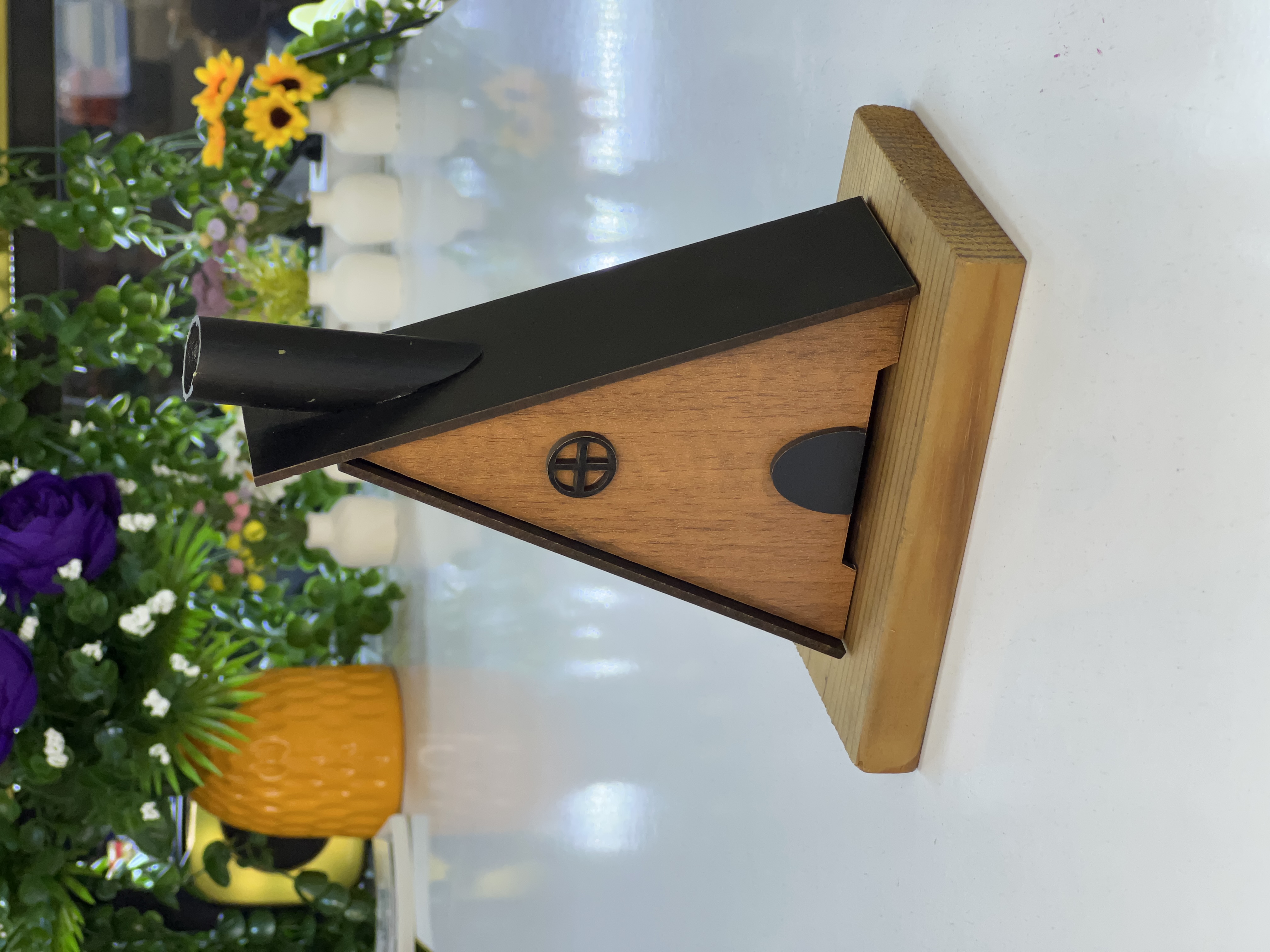 جاعودی سویسی