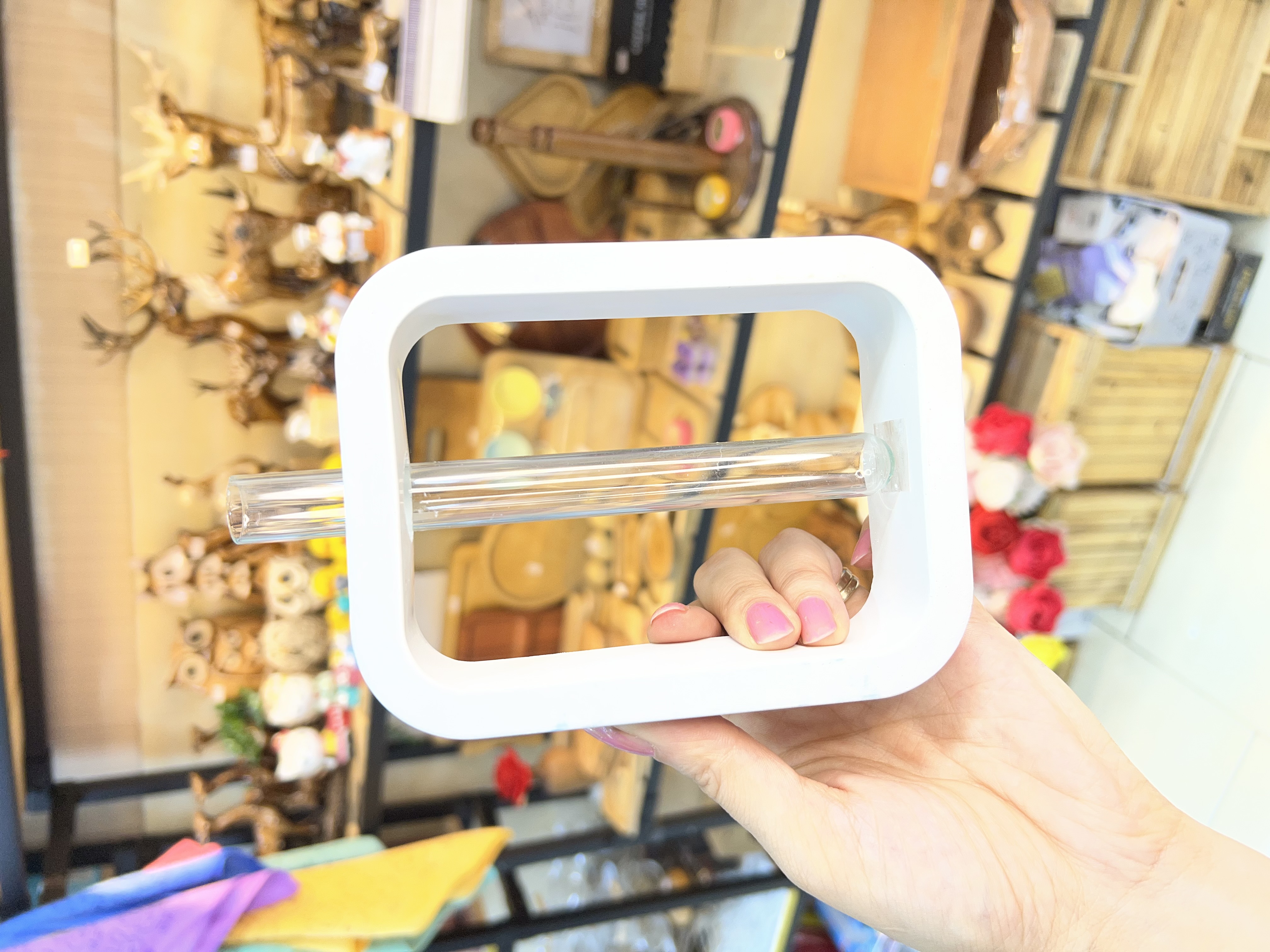 گلدان پتوس سفید