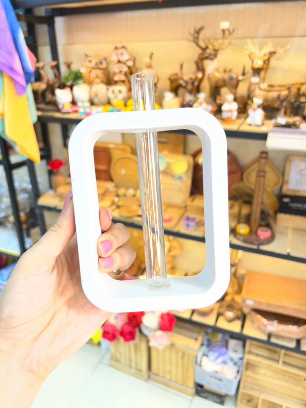 گلدان پتوس سفید