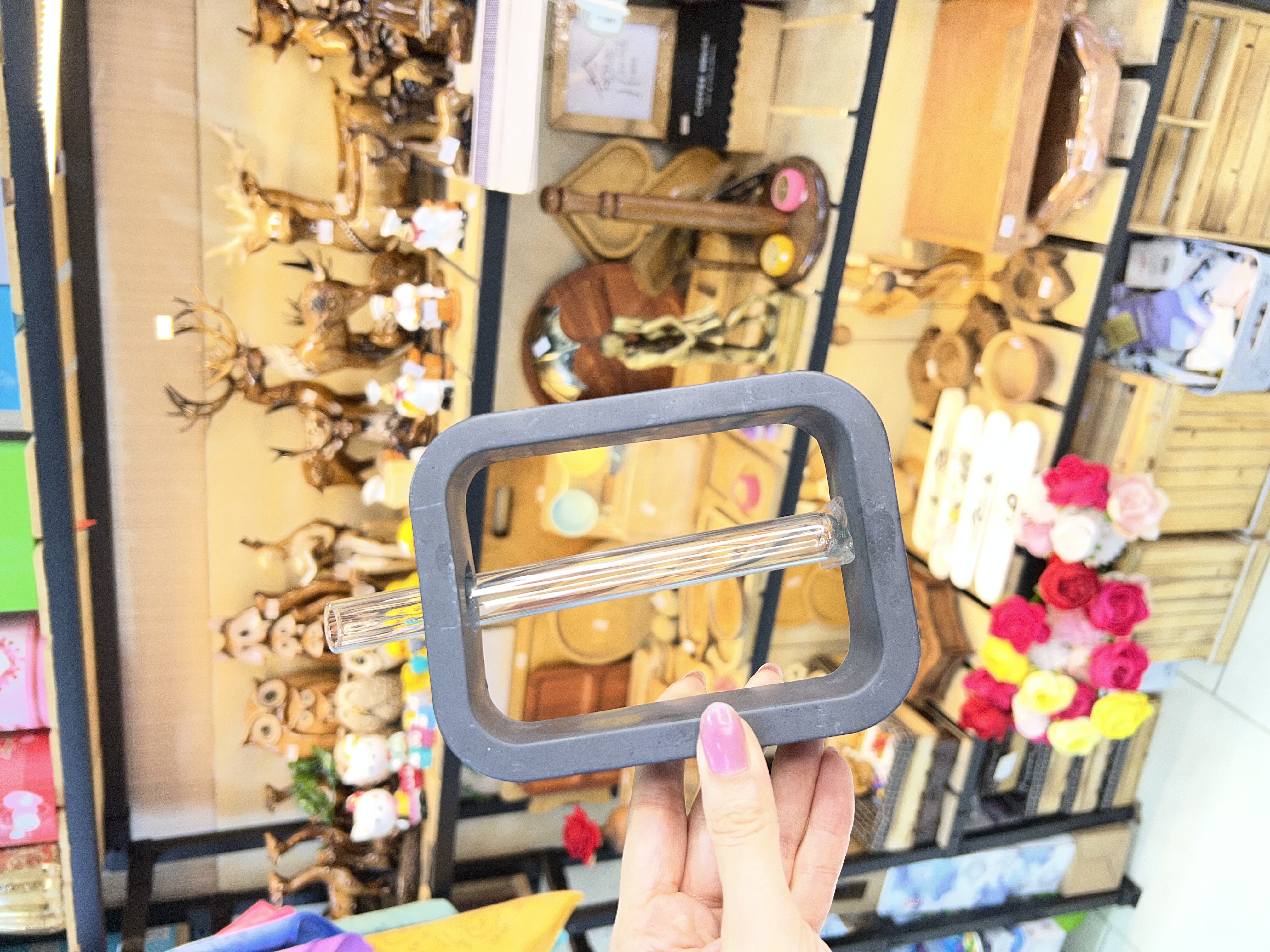 گلدان پتوس مشکی